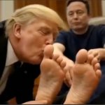 This little piggy....