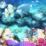 under the ocean