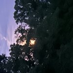 Strawberry Moon