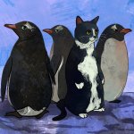 Cat Penguin Imposter
