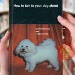 how to talk to your dog about