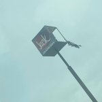 Jack out the box