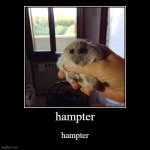 hampter | hampter | hampter | image tagged in funny,demotivationals,hampter | made w/ Imgflip demotivational maker