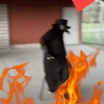 E | Nah; Let's goo | image tagged in gifs,memes | made w/ Imgflip video-to-gif maker