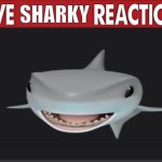 Live Sharky Reaction