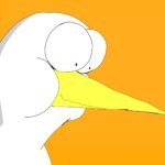 Birb template