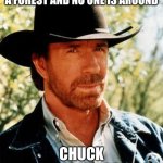 Chuck Norris Meme | WHEN A TREE FALLS DOWN IN A FOREST AND NO ONE IS AROUND; CHUCK NORRIS HEARS IT | image tagged in memes,chuck norris | made w/ Imgflip meme maker