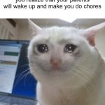 3am moment | Pov: its 3 am and you need to go to the bathroom but then you realize that your parents will wake up and make you do chores | image tagged in crying cat,sad but true,memes | made w/ Imgflip meme maker