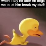 Bro wants my stuff to be broken | that one 5-year old kid when I say no after he begs me to let him break my stuff: | image tagged in gifs,funny,memes,crying duck,that one kid,kids | made w/ Imgflip video-to-gif maker