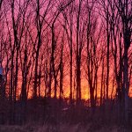 sunrise