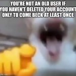 Cat pointing and laughing | YOU'RE NOT AN OLD USER IF YOU HAVEN'T DELETED YOUR ACCOUNT ONLY TO COME BECK AT LEAST ONCE | image tagged in cat pointing and laughing | made w/ Imgflip meme maker