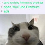 Even YouTube Premium has ads now! | buys YouTube Premium to avoid ads; open YouTube Premium; ads | image tagged in greentext 'look inside' x meme,memes,youtube,ads,bruh,fail | made w/ Imgflip meme maker