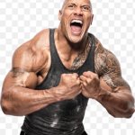 The rock
