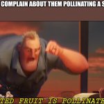 Happens all the time | BEES WHEN I COMPLAIN ABOUT THEM POLLINATING A SMALL FRUIT:; POLLINATED FRUIT IS POLLINATED FRUIT | image tagged in math is math,grow a garden,memes,funny | made w/ Imgflip meme maker