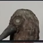 Crow template