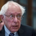 Breadline Bernie Sanders  crackpot