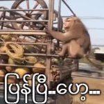 wai mon GIF Template