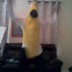 Xd Banana GIF Template