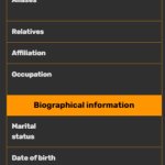 Wiki infobox template meme