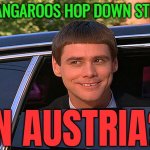 Do Kangaroos Hop Down Streets In Austria? | DO KANGAROOS HOP DOWN STREETS; IN AUSTRIA? | image tagged in lloyd christmas limo,australia,austria,scumbag hollywood,stupid people,i'm the dumbest man alive | made w/ Imgflip meme maker