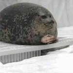 business seal