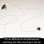 Baki flies