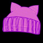 Pussy Hat