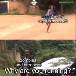 survival instinctn’t | me on my first night in minecraft; zombies and creepers; “Why are you running?!” | image tagged in why are you running,minecraft | made w/ Imgflip meme maker