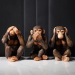 See no evil, speak no evil, hear no evil