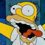 Crazy homer