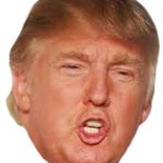Donald Trump's Head