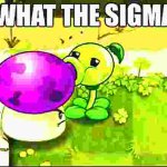 What The Sigma Is X