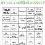 YourLocalWubboc Bingo v1 meme