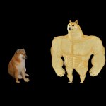 Perrito poderoso
