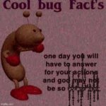 Cool bug facts meme