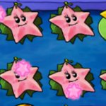 Sea-Starfruit