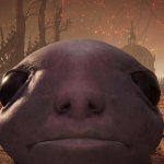 Aulbinaric Stare
