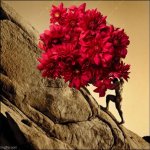 @salve_rebirth Sisyphus