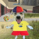 propeller hat dog