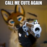 Furry with gun | CALL ME CUTE AGAIN | image tagged in furry with gun | made w/ Imgflip meme maker