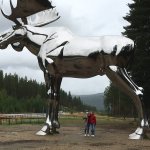 big moose of Norway