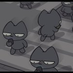 Stoopid Cats Gray Cats