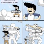 Goodbye High School Template | Godobye dragonfly larvae! I have matured to my adult stage and I will never be harassed by you again! Never…; MOSQUITO; HUMAN; ADULT DRAGONFLY | image tagged in goodbye high school template | made w/ Imgflip meme maker