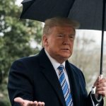 Trump in the Rain