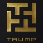 Alternative Trump business logo