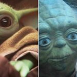 Baby yoda and Yoda