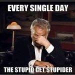 stupid stupider