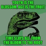 Philosoraptor Meme | YOUTH IS THE BLOSSOM, AGE IS THE FRUIT; TIME SLAYS ALL, FROM THE BLOOM TO THE ROOT | image tagged in memes,philosoraptor | made w/ Imgflip meme maker