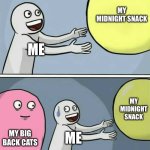 Running Away Balloon | MY MIDNIGHT SNACK; ME; MY MIDNIGHT SNACK; MY BIG BACK CATS; ME | image tagged in memes,running away balloon | made w/ Imgflip meme maker