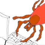 Tick